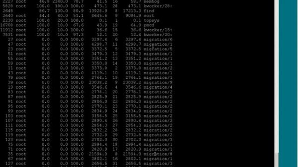 13 Linux Application Memory Lecture
