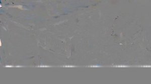 Опасно ли брать кота с улицы? Наглядное пошаговое пособие как сделать доброе дело❤️