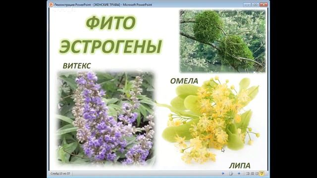 Лечебные травы! Секреты славянских травников Мастер класс смотреть онлайн