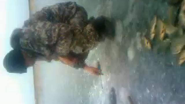 Рыбалка на Екатериновском озере. Северо-Казахстанская область. смотреть онлайн