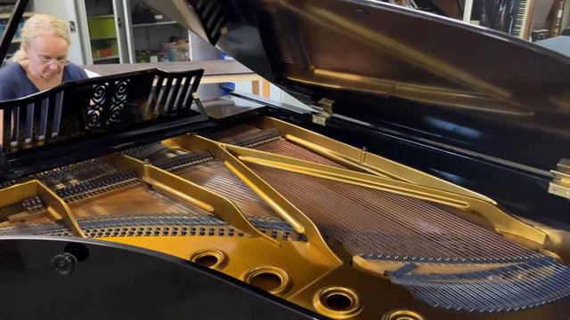 Klinkenberg Blüthner Modell 6 смотреть онлайн