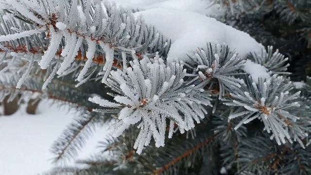 Красота зимнего леса | Winter in Russia смотреть онлайн