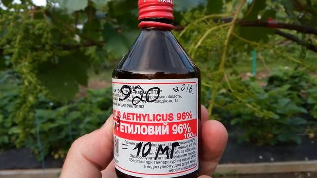 применение г к на винограде гелиодоре смотреть онлайн