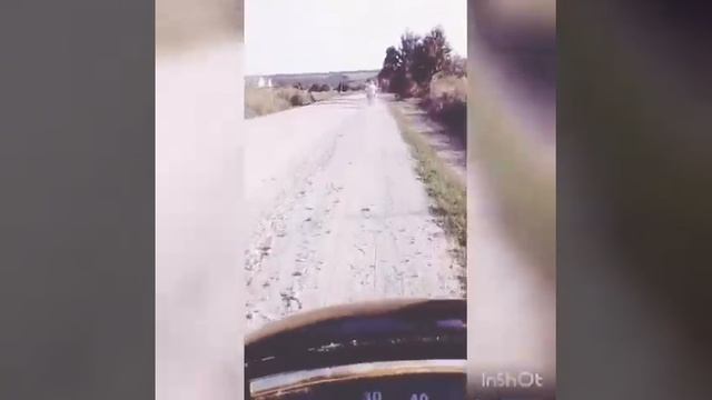 Хонди дио 34 и сузуки сепия смотреть онлайн