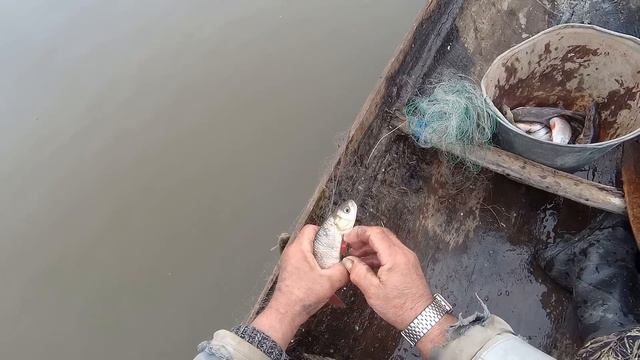 На курье. Сняли одну сеть...проверяем другую... смотреть онлайн