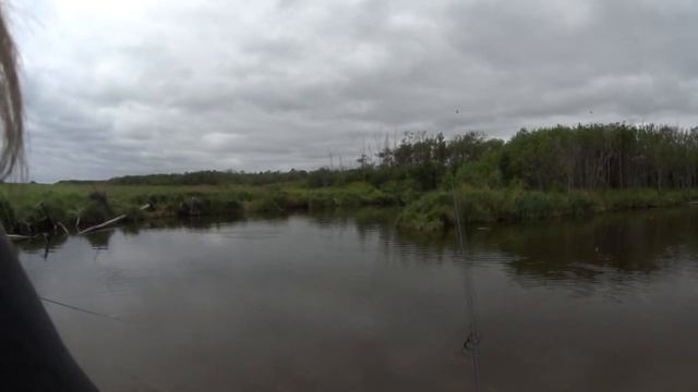 Ловля горбуши на воблер. Сахалин рыбалка. Нерест лосося. смотреть онлайн