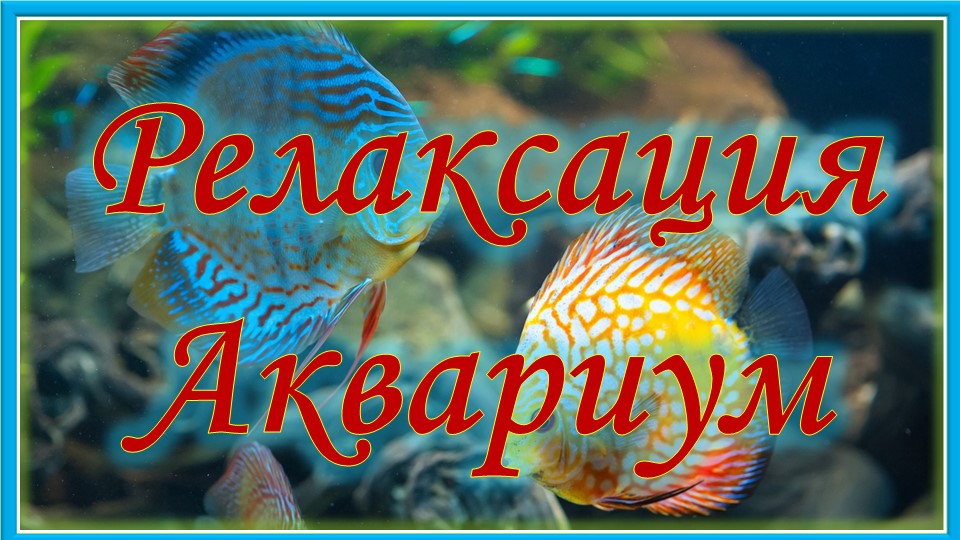 Радужная релаксация. Аквариум