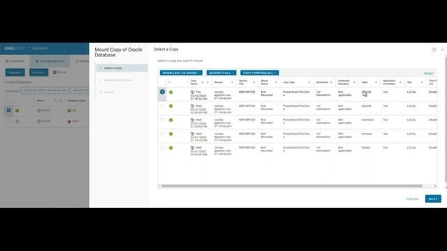 Creating a new Oracle environment for DEVs with Appsync. смотреть онлайн