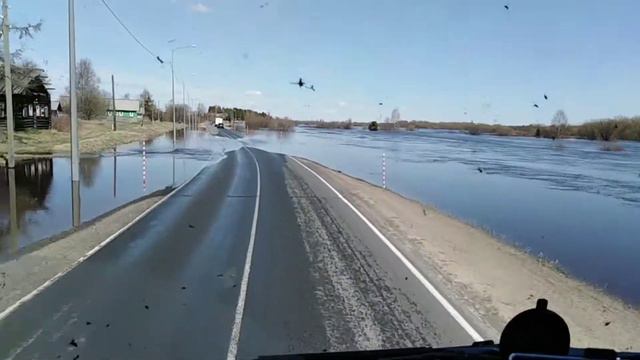 Затопило дорогу плывем или едим