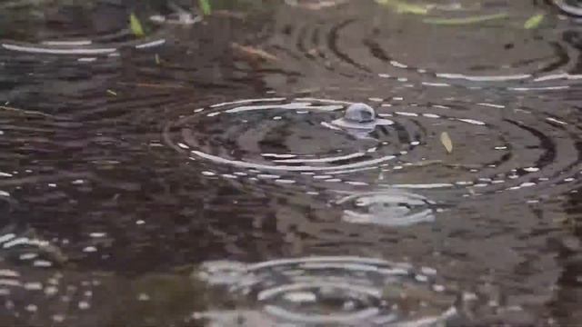 Кто понял жизнь. Омар Хайям смотреть онлайн