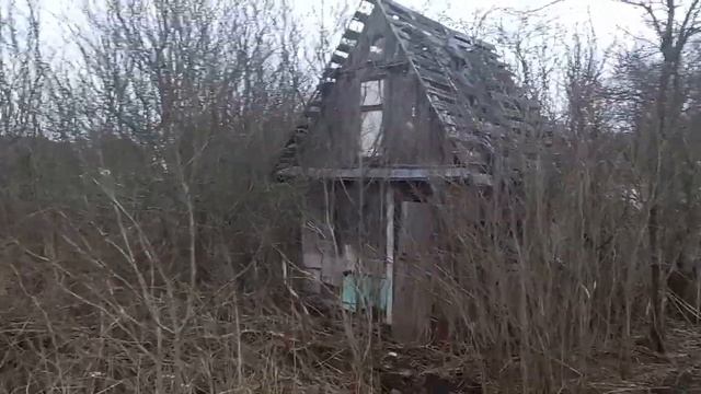Стоит ли покупать заброшенную дачу! смотреть онлайн