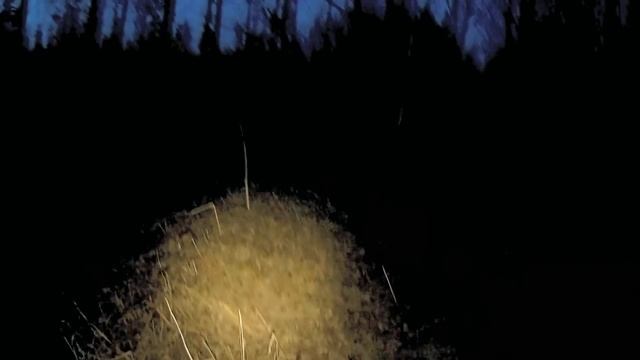 МОНСТР-ГЛУХАРЬ и ток глухаря НА ОДНОМ ДЫХАНИИ Вот это весенняя охота на глухаря на току СИБИРИЯ смотреть онлайн
