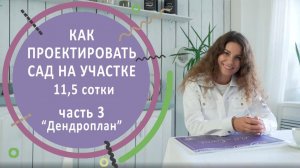 Как проектировать сад на участке 11,5 сотки. Часть 3. Дендроплан/План озеленения
