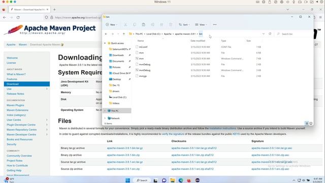 Maven Windows Configuration And Setup | How To Install Maven On Windows смотреть онлайн