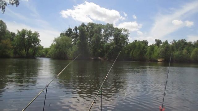 Совместная рыбалка с подписчиком в Запорожье карась как с пулемета клюет#Запорожье#Рыбалка #Fishing смотреть онлайн