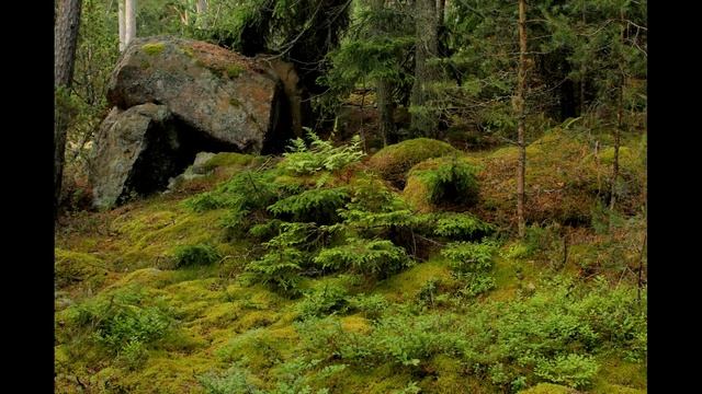 Аландские острова - Большое Балтийское Путешествие смотреть онлайн