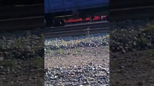 Пацан бегает по поездам смотреть онлайн