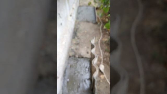 Усиление фундамента дачного домика смотреть онлайн