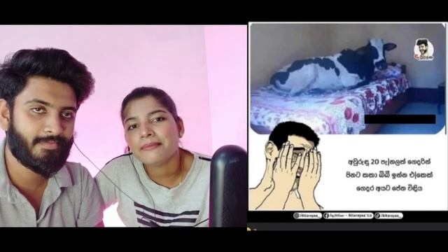 දෝණි කේස් බන්ග් MEME React Couple Sri Lanka смотреть онлайн