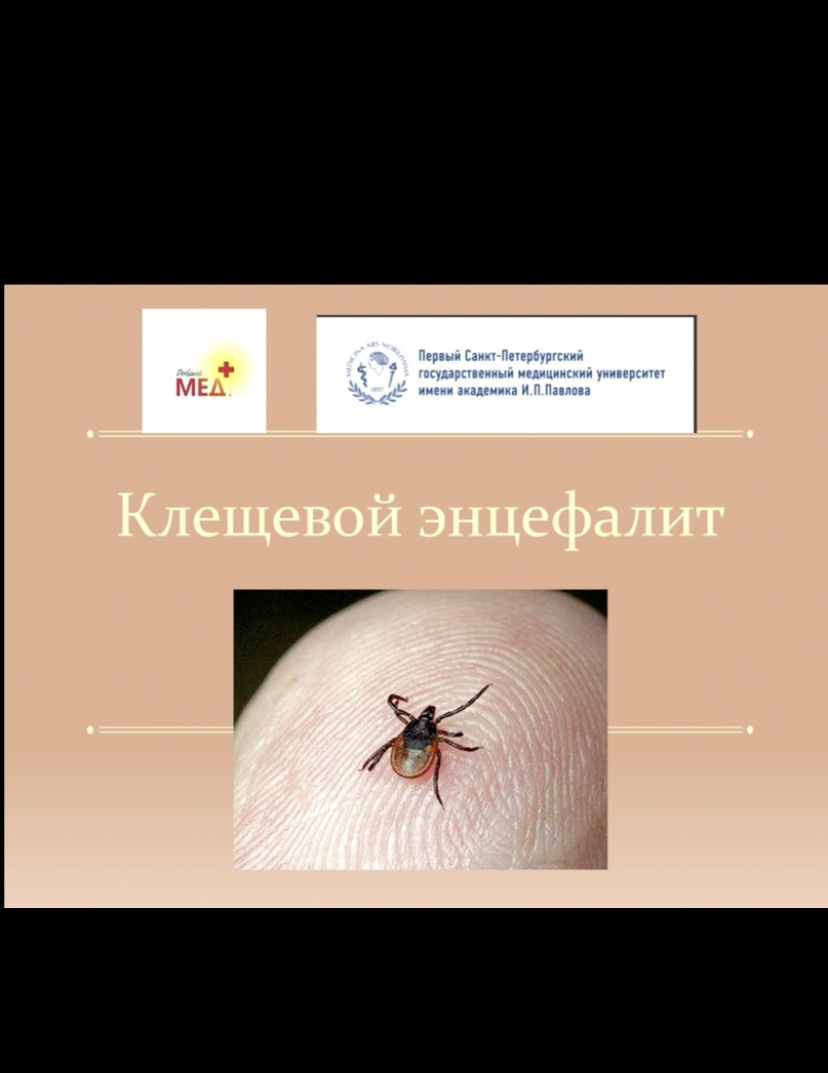 Клещевои энцефалит