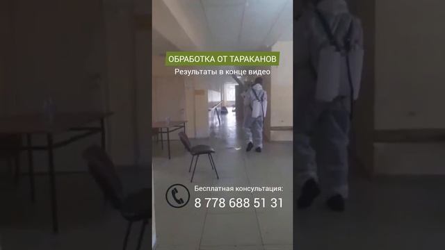 Обработка помещений от тараканов генератором горячего тумана смотреть онлайн