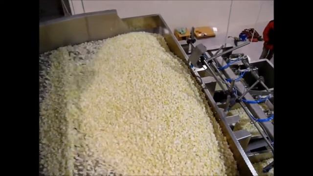 Промышленная переработка лука. Линия калибровки, мойки, очистки, нарезки, заморозки, расфасовки лук смотреть онлайн