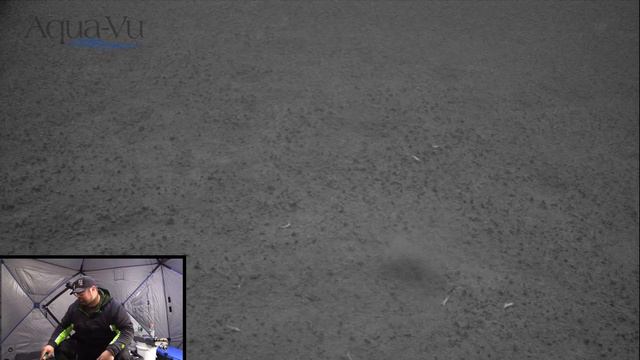 Ice fishing for Perch and Walleye with Underwater Camera | My Biggest Perch!! смотреть онлайн