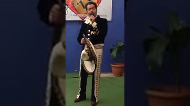 MAURICIO ROSALES LLORAME смотреть онлайн