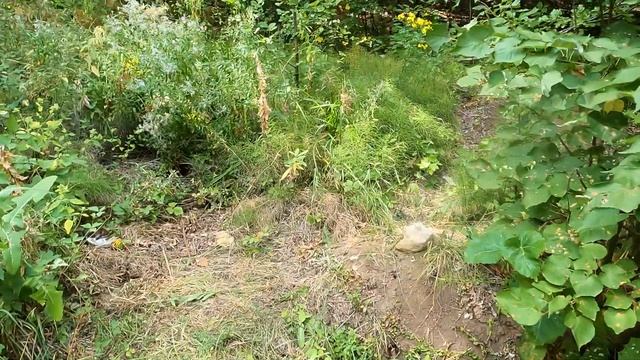 Осторожно, захочется пить! Как выглядит родник, оазис в тени? Нашёл питьевую воду в походе по Росси