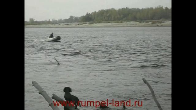 Надувная лодка из ПВХ Ривьера 3400 СК Компакт и лодочный мотор Тойама T9.9BMS – Румпель ленд отзыв смотреть онлайн