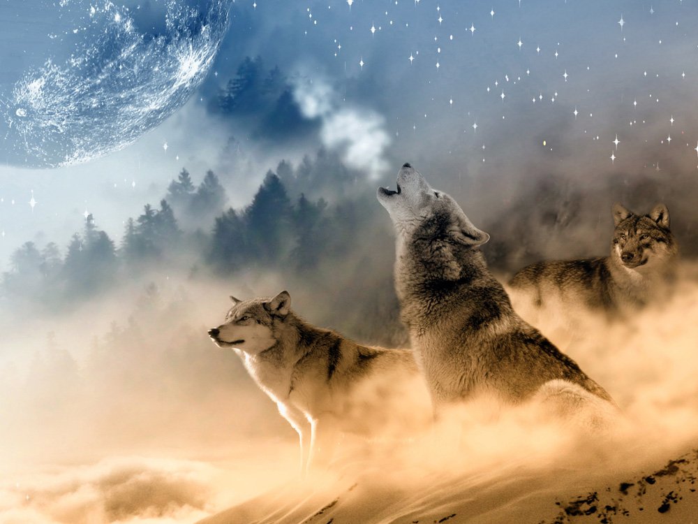 ВОЛЧЬЯ МОЛИТВА... ДЛЯ ВСЕХ... ВЕДЬМИНА ИЗБА ● ИНГА ХОСРОЕВА смотреть онлайн