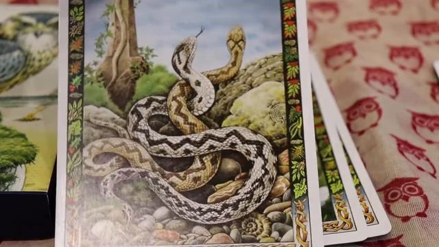 DRUID ANIMAL ORACLE СТИХИЯ ОГОНЬ смотреть онлайн
