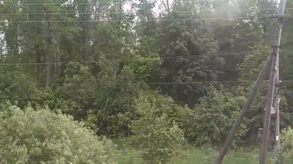 Вид из окна поезда №115 Уфа — Москва