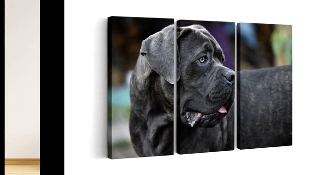 Кане Корсо - пано за стена смотреть онлайн