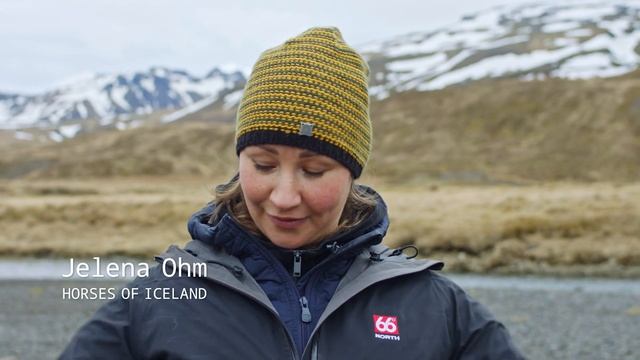 How Iceland’s Horses Learned to Type Emails смотреть онлайн
