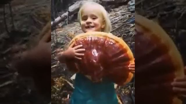 Big Ganoderma Mushroom with sweet Little Girl смотреть онлайн
