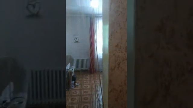 Вопрос к сантехнику. Что делать с мокрыми пятнами на потолке? смотреть онлайн