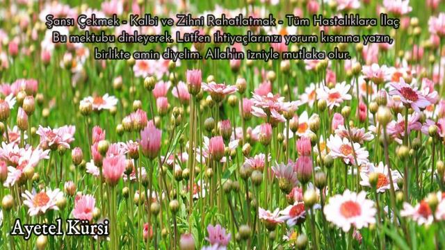 Şimdi Ayetel Kürsi Dinleyin,  Ayetel Kürsi, Ayetel Kürsi Dinle