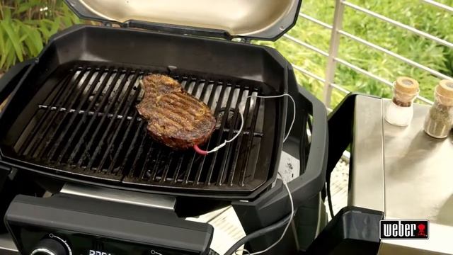 Электрический гриль Weber PULSE 1000 смотреть онлайн