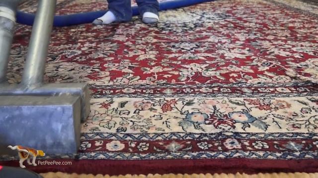 CLEANING A REAL SILK RUG WITH LOVE-BY PetPeePee company смотреть онлайн