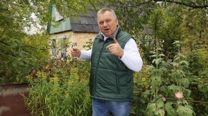 ВНИМАНИЕ всем садоводам! Остановите ЭПИДЕМИЮ ЗОЛОТАРНИКА Канадского