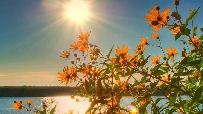 Июль. Федор Сологуб. смотреть онлайн