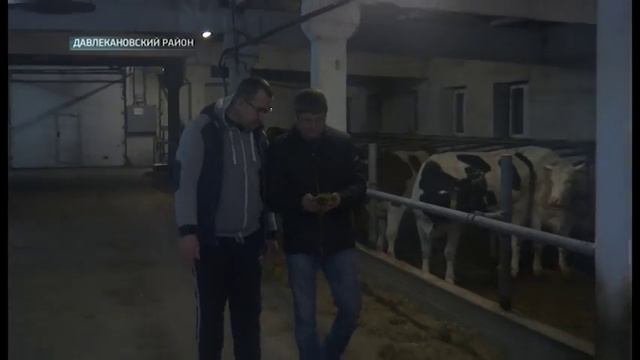 Территория развития. ООО "Регионагро" смотреть онлайн