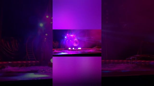 SHEVCHENKO Show. Цирк на воде. #SHEVCHENKOShow смотреть онлайн