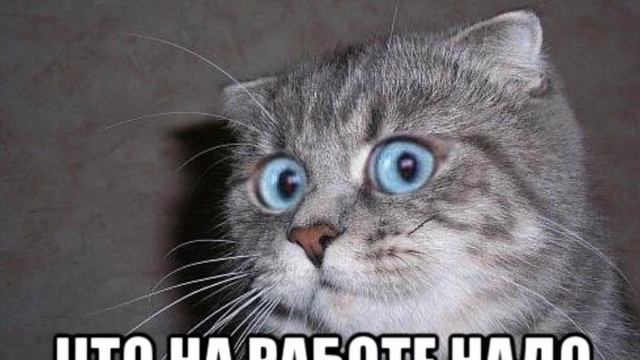 Стань настоящим лидером и люди пойдут за тобой смотреть онлайн
