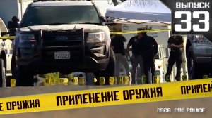Применение оружия полицией: Ответный огонь [Выпуск 33 2020]