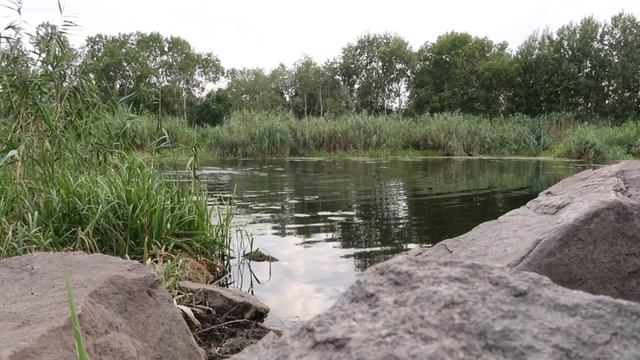 КАК ЖЕ КРАСИВО 😍 РЕЧКА ЮЖНЫЙ БУГ 10.08.2020 смотреть онлайн