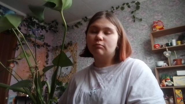 уход за монстерой смотреть онлайн