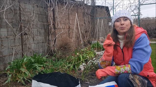 Весенняя подкормка роз! Один раз и на весь сезон! ЗДОРОВЫЕ и ОБИЛЬНО ЦВЕТУЩИЕ розы! смотреть онлайн