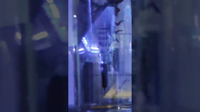 Национальный музей естественной истории. Бухарест. Румыния смотреть онлайн